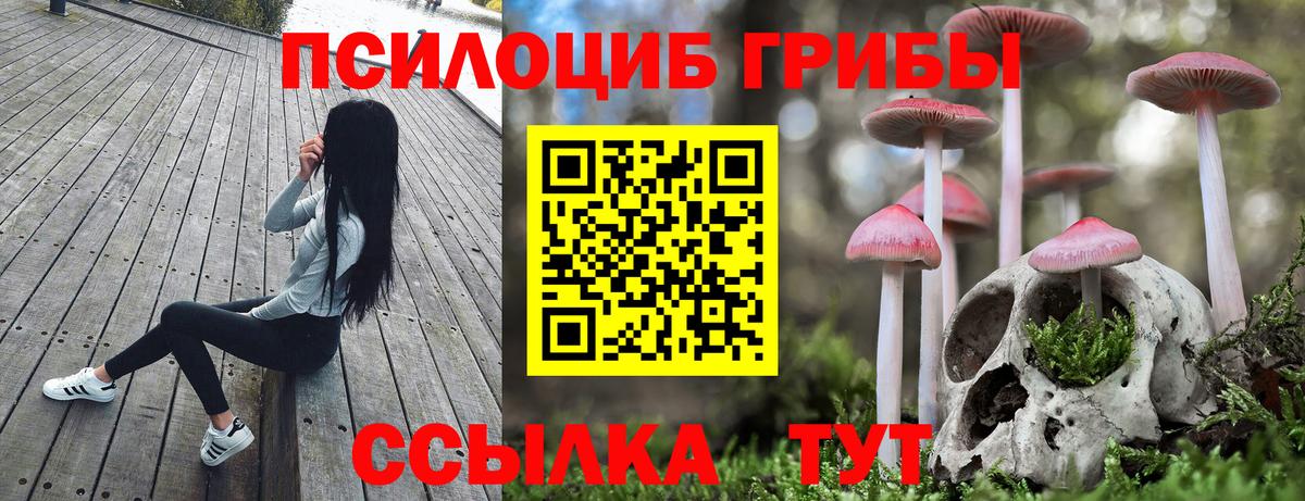 Псилоцибиновые грибы мицелий  Вход с VPN  Сосновоборск  купить закладку  Галлюциногенные грибы прущие грибы 
