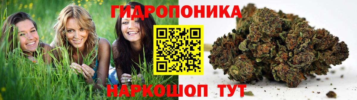 Сосновоборск  Бошки марихуана White Widow  Канабис марихуана  Вход с VPN  Марихуана индика  Конопля сатива 